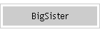 BigSister