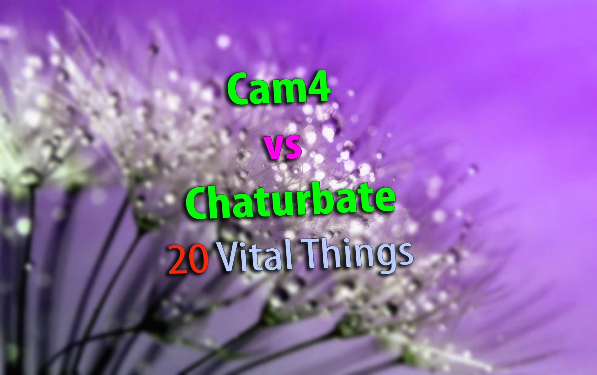 Cam4 vs Chaturbate:0 wichtige Unterschiede, die Sie kennen müssen