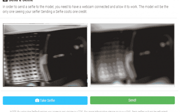 Senden Sie ein Selfie an Ihren SecretFriend