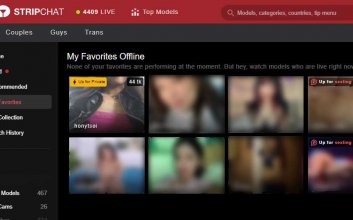 Privatshow mit einem Offline Stripchat Model anfordern
