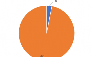 Lovense Lush bietet mehr Optionen als Kiiroo bei Stripchat