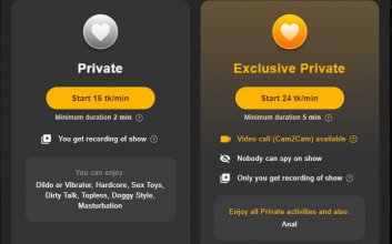 Privater Chat bei Stripchat.com hat ein neues Level: Was bekommen Sie?