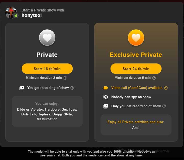 Privater Chat bei Stripchat.com hat ein neues Level: Was bekommen Sie?