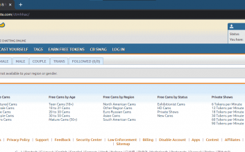 RESOLVED: Zugang bei chaturbate verweigert